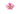 Vale Rebirth Rugby Shirt Pink
